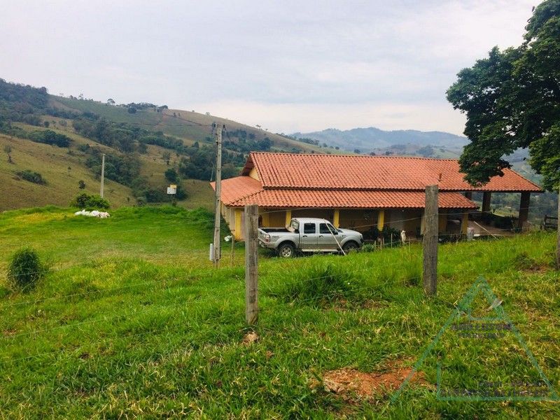 Fazenda no Sul de Minas Gerais divisa com São Paulo pega 1 milhão em imóveis.