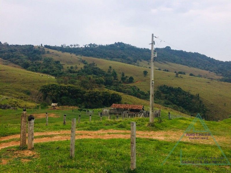 Fazenda no Sul de Minas Gerais divisa com São Paulo pega 1 milhão em imóveis.