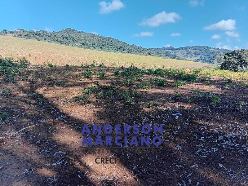 Fazenda à Venda – Região de Santa Rita de Caldas/MG
