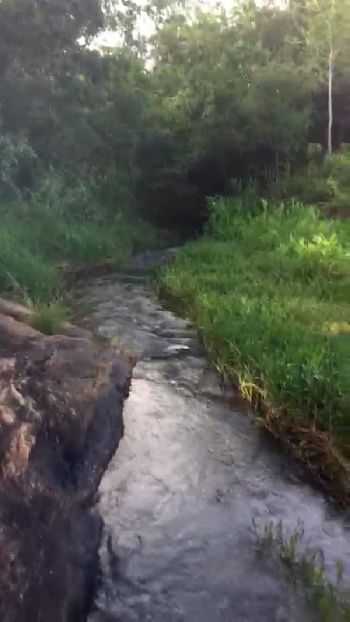 Sítio entre Lindóia e Itapira na Ponte Nova com córrego e pequena cachoeira