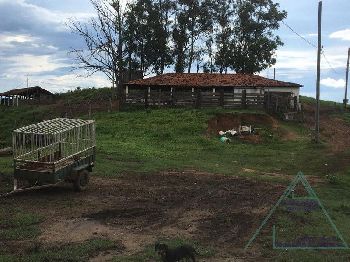 Sítio entre Lindoia - Itapira com Casa sede espetacular pronta para gado 